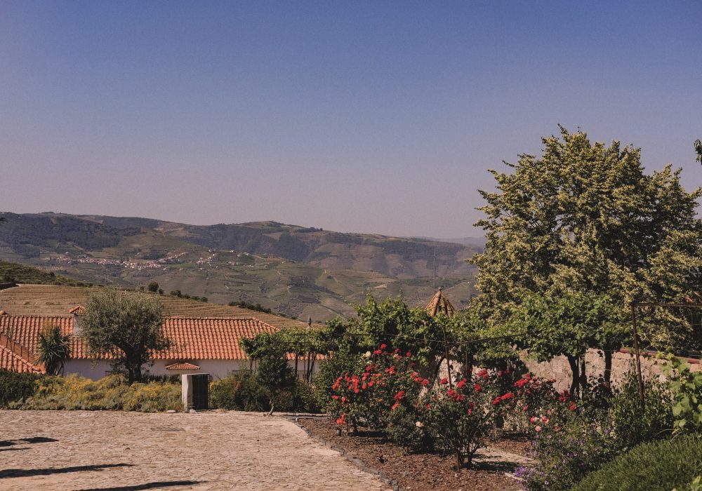 casal de tralhariz_douro_alojamento_portugal_jardins_25-DSCF9241-min